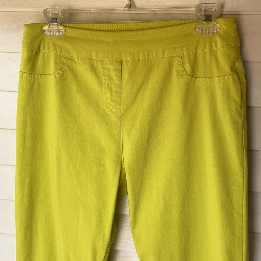 Soft Surr. Stretchy Ankle Pants